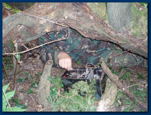 600x449 pixels (184K)